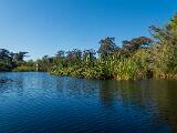 Turner River 002