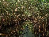 Turner River 007