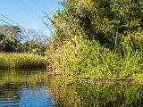 Turner River 011