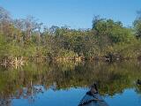 Turner River 013