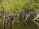 Turner River 014