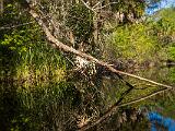 Turner River 002