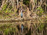 Turner River 003