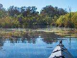 01-C Turner River
