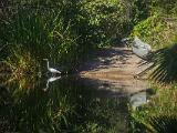 Turner River 013