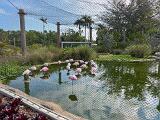 03-E Naples Zoo