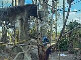 Zoo 014