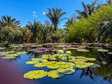 03-F Naples Botanical Garden