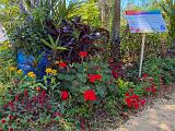 Garden 005