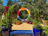 Garden 006