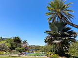 Garden 009