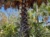 Garden 012