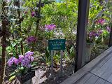 Garden 013