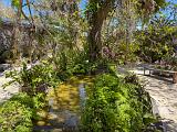 Garden 014
