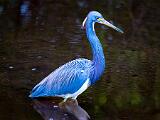 SWFL Day 004