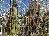 A Botanical Garden 002