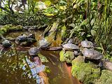 A Botanical Garden 004