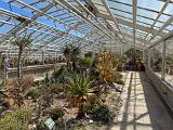 A Botanical Garden 005