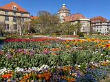 A Botanical Garden 010