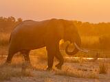 Africa 009