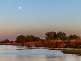 Africa 011