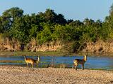 Africa 014