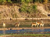 Africa 015