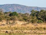 Africa 017