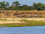 Africa 020