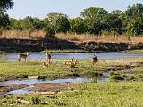 Africa 024