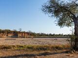 Africa 026