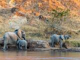 Africa 031