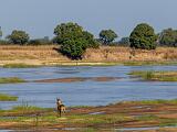 Africa 037