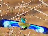 Africa 039