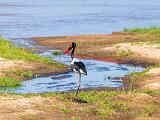 Africa 041