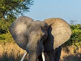 Africa 044