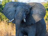 Africa 045