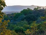 Africa 048