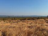 Africa 055