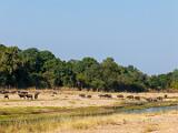 Africa 057