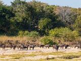 Africa 058