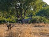 Africa 059