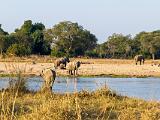 Africa 061