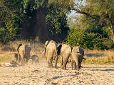 Africa 062