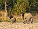 Africa 063