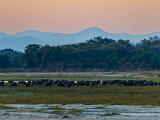 Africa 066