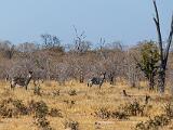 Africa 067