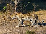 Africa 079