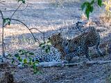 Africa 083