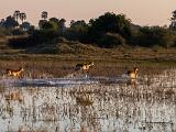 Africa 087